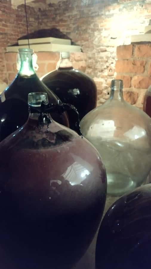 Córdoba: Wine Tour Privado a Colonia Caroya - Día completo - Is $220 per person a fair price?