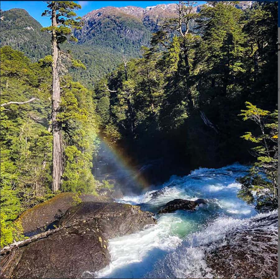 Crossing to Puerto Blest and Cascada de los Cántaros - What the catamaran ride means for your day