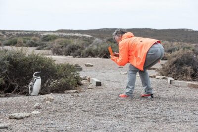 Cruise Shore Excursion Ea San Lorenzo Peninsula Valdes – Patagonia – Argentina