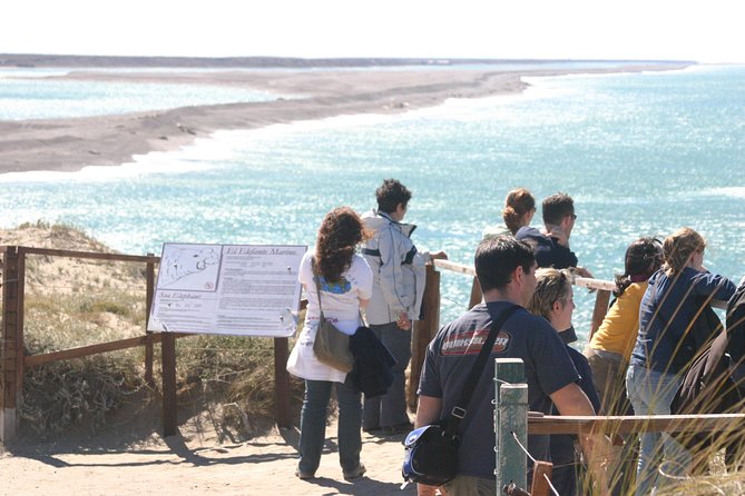 Cruise Shore Excursion Peninsula Valdes - Pto Madryn - Patagonia - Argentina - What comes in the box lunch