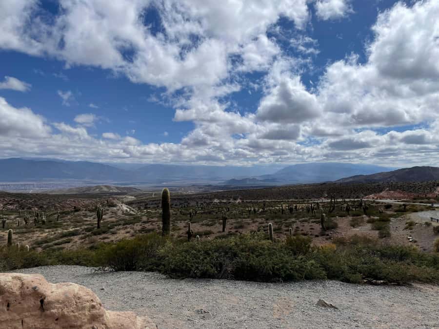 Day Trip to Cachi from Salta - Should you book the road to Cachi?