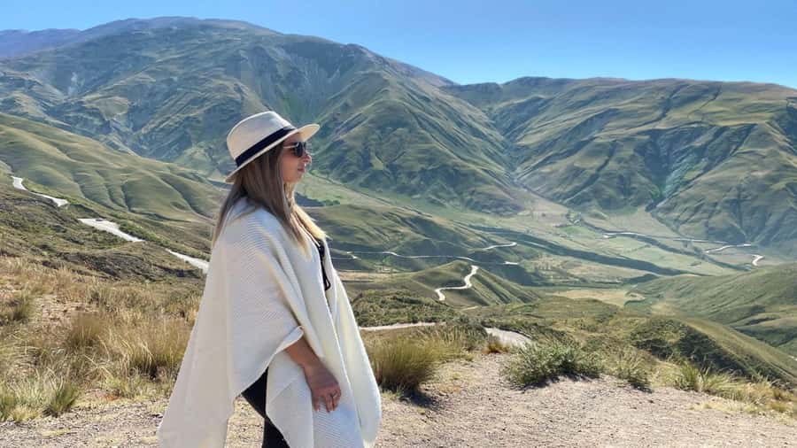 Day Trip to Cachi from Salta - Los Cardones National Park and the Recta de Tin-Tin