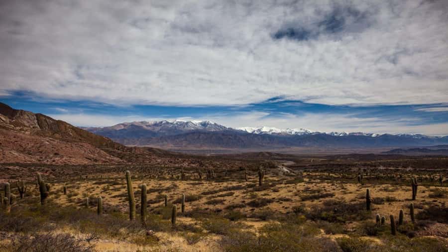 Day Trip to Cachi from Salta - The three-hour return to Salta