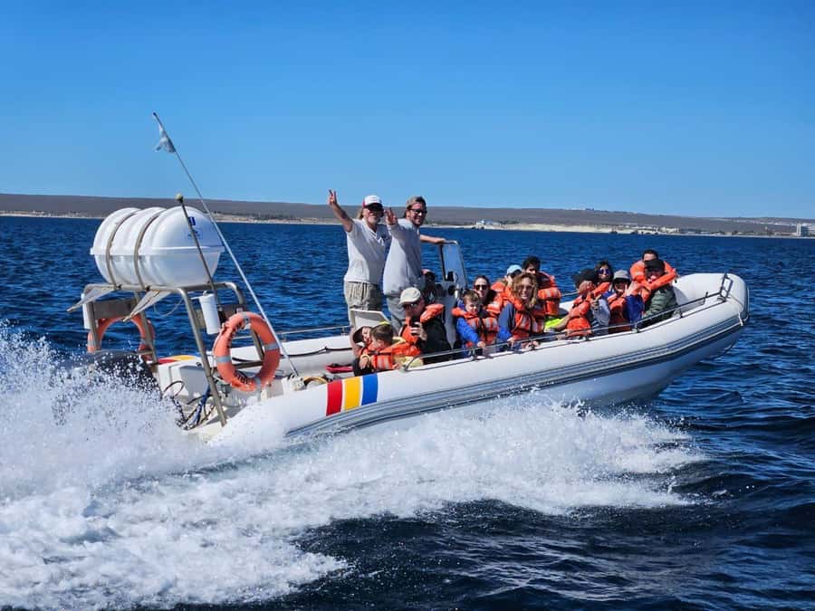 Dolphin Watching Adventure - Searching Golfo Nuevo for Dusky Dolphins