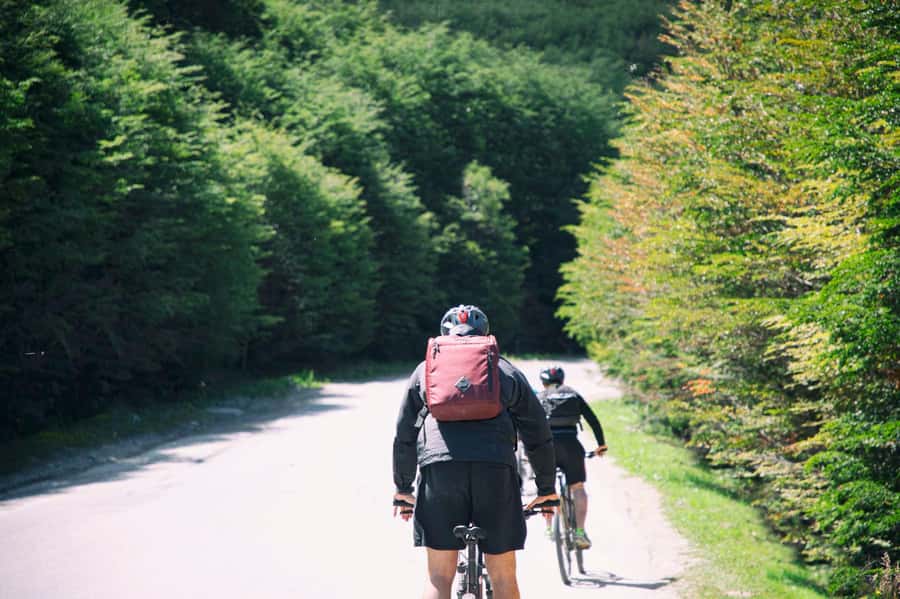 E-BIKE Beagle Viewpoint - Key points at a glance