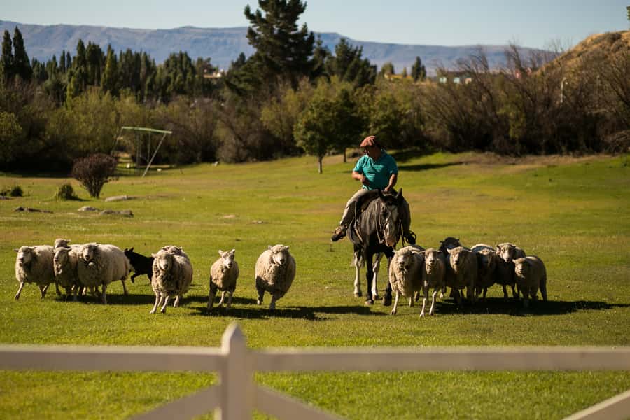 El Calafate: Estancia 25 de Mayo Tour with Dinner & Transfer - Walking past Calafate Stream and the old shearing shed
