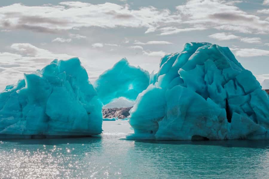 El Calafate: Gourmet Navigation Upsala & Spegazzini Glaciers - Key points at a glance