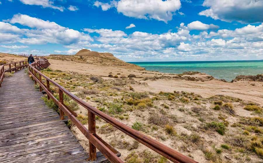 El Calafate: Monte León 4x4 Wolves and Penguins Excursion - Guides, languages, and the quality of the day