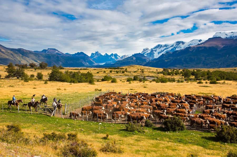 El Calafate: Nibepo Aike Ranch with Horseback Riding - Leaving El Calafate on the Path of the Estancias