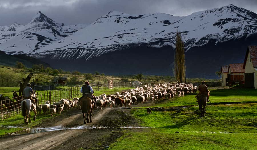 El Calafate: Nibepo Aike Ranch with Horseback Riding - Riding with a baqueano for 45 minutes