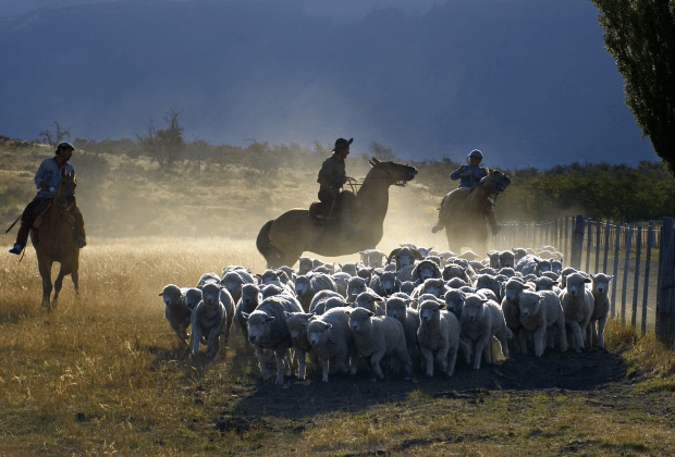 El Calafate: Nibepo Aike Ranch with Horseback Riding - The shearing shed and small museum