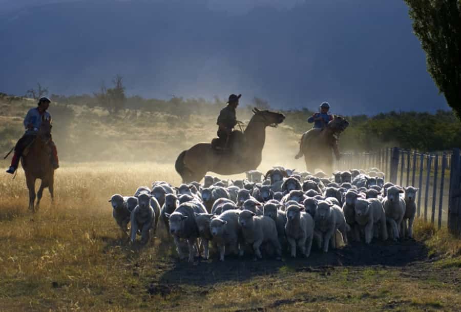 El Calafate: Nibepo Aike Ranch with Horseback Riding - What $175 buys you