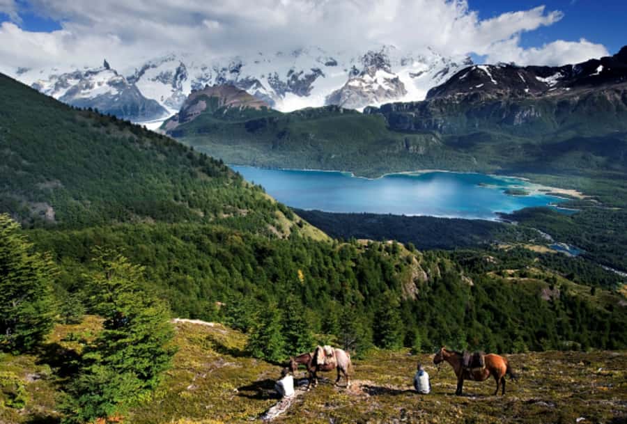 El Calafate: Nibepo Aike Ranch with Horseback Riding - Timing, weather, and practical planning