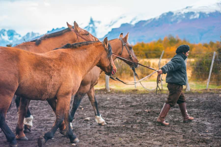 El Calafate: Nibepo Aike Ranch with Horseback Riding - Arriving at Nibepo Aike in Los Glaciares National Park