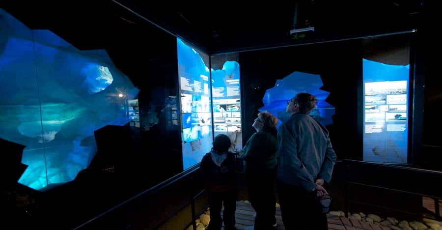 El Calafate: Perito Moreno Glacier, Boat Cruise & Glaciarium - One hour on the boat, up to 300 meters from the ice