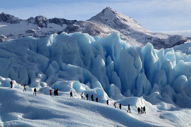 El Calafate Perito Moreno Glacier Minitrekking Adventure Tour - The forest route to the ice