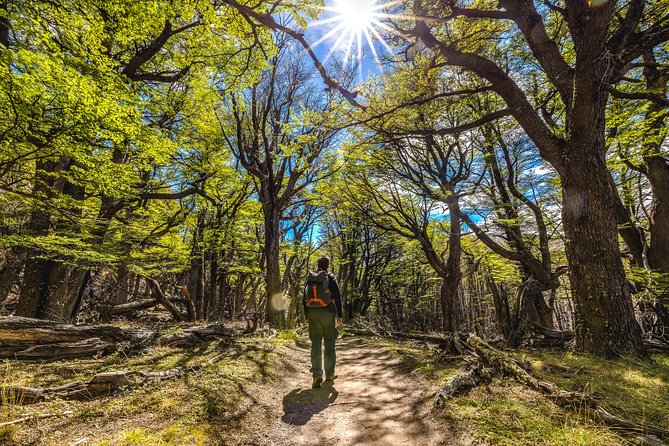 El Chaltén with Trekking from El Calafate - The long road from El Calafate to El Chaltén