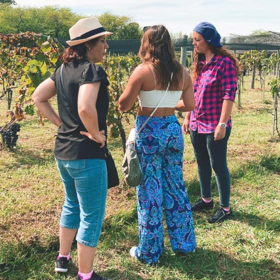 Enjoy a Rural Experience in a Vineyard near Buenos Aires - Wine tasting with food pairings
