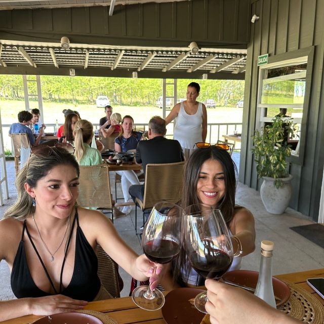 Enjoy a Rural Experience in a Vineyard near Buenos Aires - A four-course lunch in the countryside