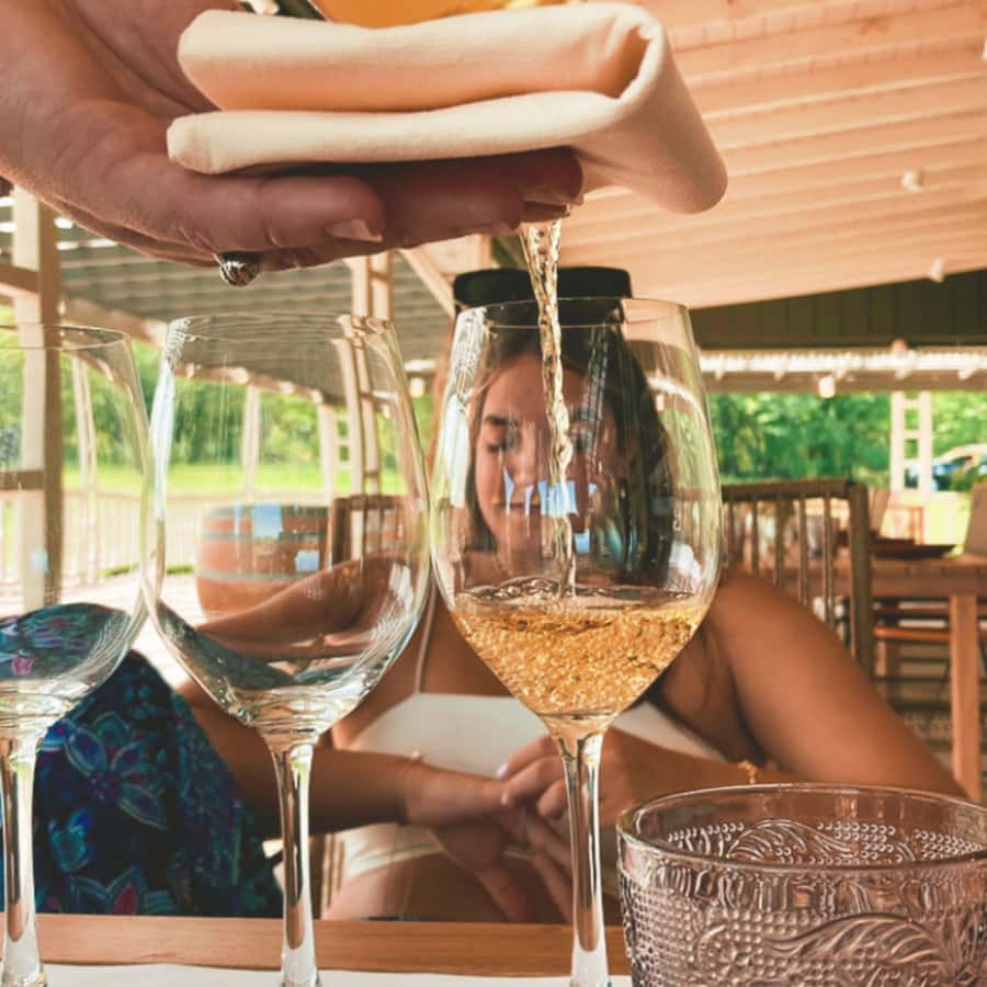 Enjoy a Rural Experience in a Vineyard near Buenos Aires - Returning to Buenos Aires by late afternoon