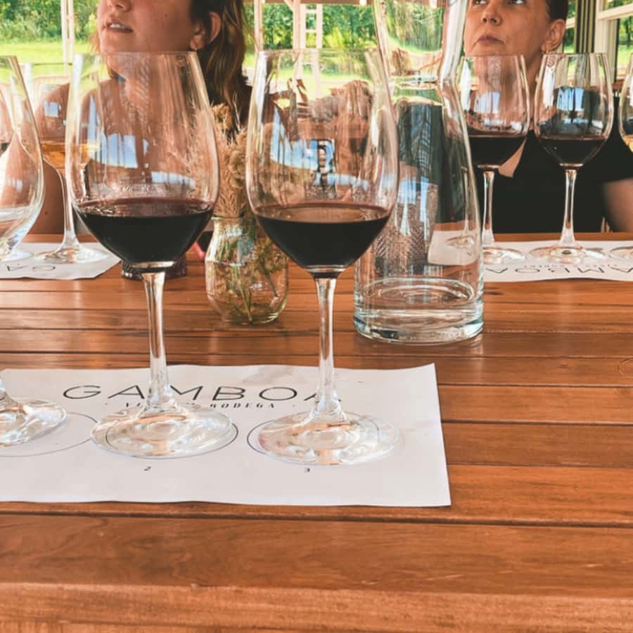 Enjoy a Rural Experience in a Vineyard near Buenos Aires - Weather, comfort, and practical preparation