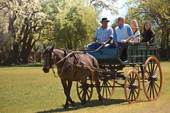 Estancia Gaucho Day at Buenos Aires - A long Argentine barbecue with wine