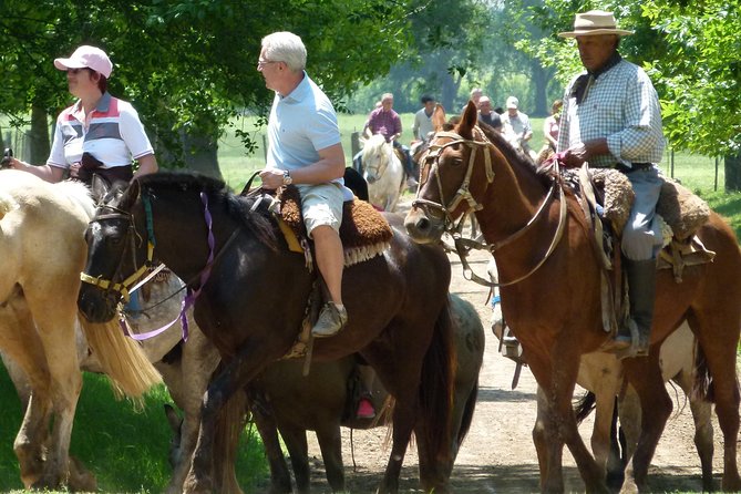 Estancia Gaucho Day at Buenos Aires - Arriving under the ombú tree