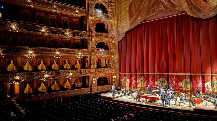 Experience Teatro Colon : Secure your Tour today!!! - How good is the guide?