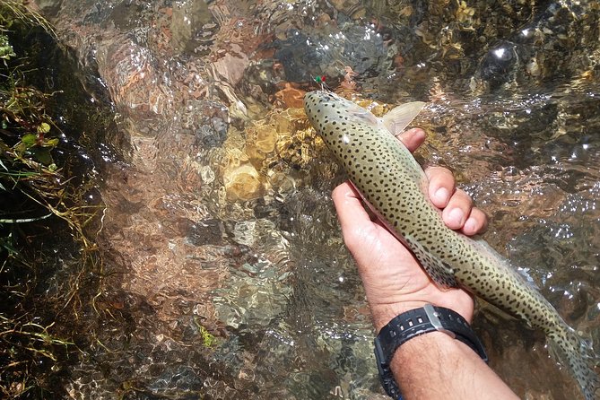 Fly Fishing on Private Andean River Including Barbecue Lunch - The 8 a.m. departure from Mendoza