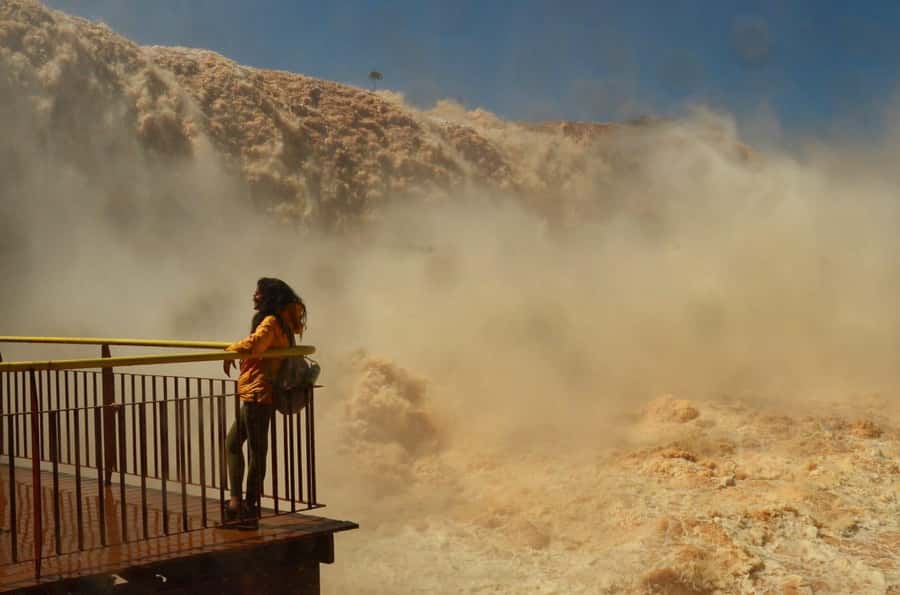 Foz do Iguaçu: Brazil/Argentina Sides Iguazu Falls Day Tour - Practical ways to make the day better