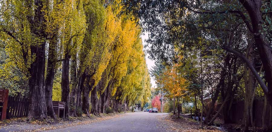 From Bariloche: Chico Circuit & Colonia Suiza Tour - Who will enjoy this tour most