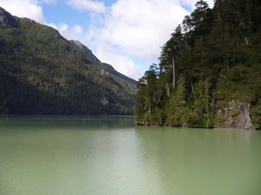 From Bariloche: Victoria Island & the Arrayanes Forest Tour - Key points to know before booking