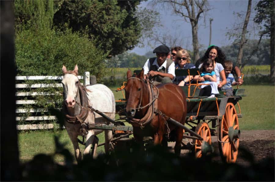 From Buenos Aires: Estancia Don Silvano Tour with Lunch. - Key points before you book