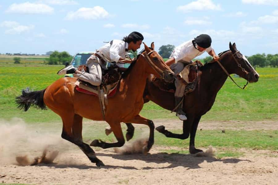 From Buenos Aires: Estancia Don Silvano Tour with Lunch. - The ride from central Buenos Aires