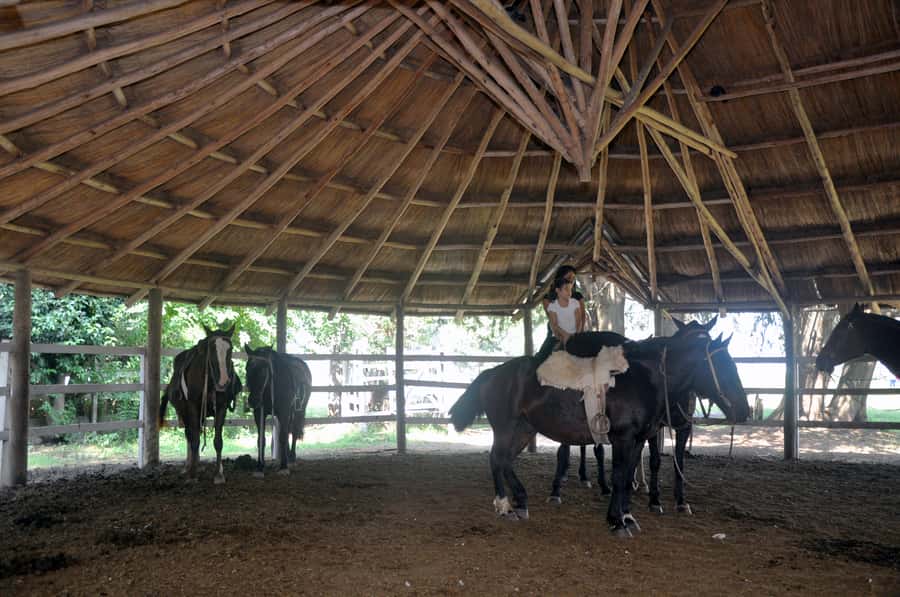 From Buenos Aires: Estancia Don Silvano Tour with Lunch. - Seeing the house, ranch, and traditional carriages