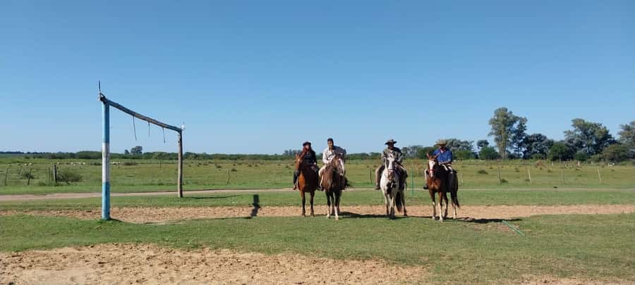From Buenos Aires: Estancia Don Silvano Tour with Lunch. - The gaucho skills demonstration