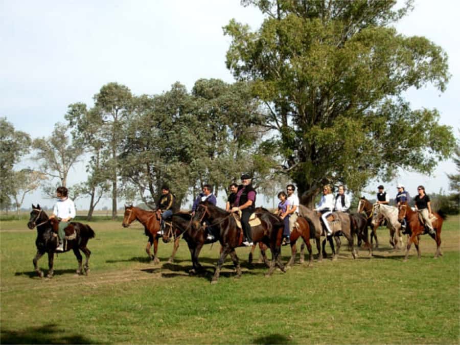 From Buenos Aires: Estancia Don Silvano Tour with Lunch. - The story behind Don Silvano’s ranch
