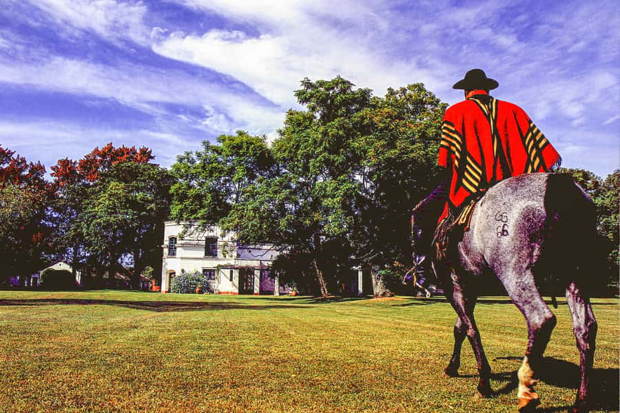 From Buenos Aires: Gaucho and Ranch Day Tour - San Antonio de Areco, a town built around gaucho culture