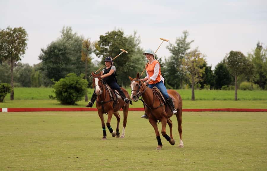 From Buenos Aires: Polo Match, Lesson, and BBQ Day-Trip - Key points at a glance