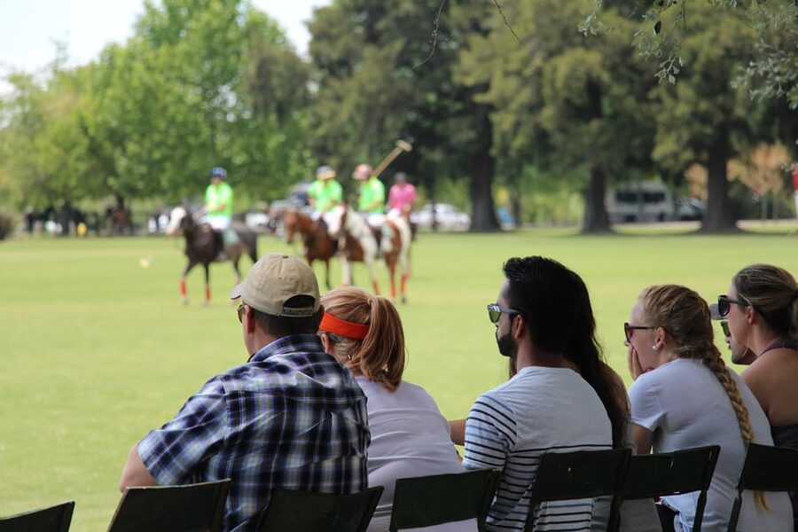 From Buenos Aires: Polo Match, Lesson, and BBQ Day-Trip - Learning to swing a mallet before you ride