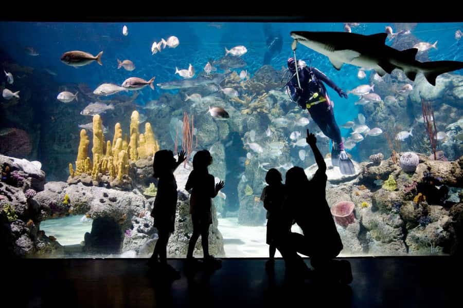 From Buenos Aires: Temaiken Zoo Tour with Ticket Included - More than animals: vegetation and the 360-degree cinema