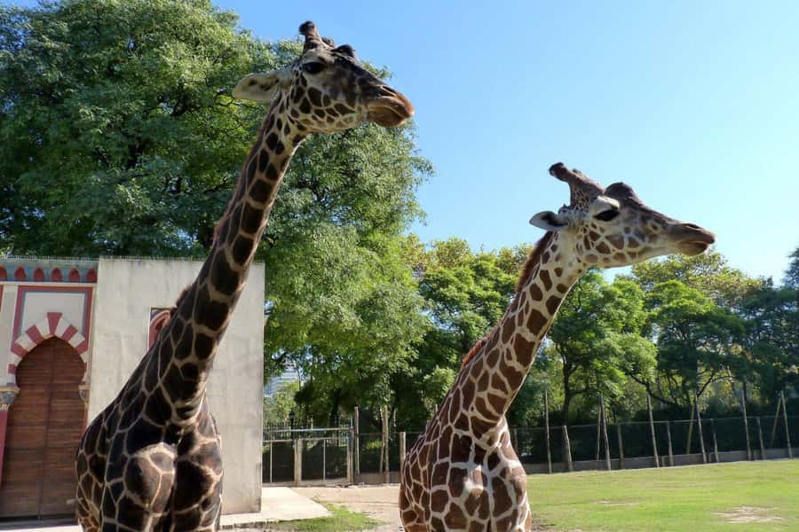 From Buenos Aires: Temaiken Zoo Tour with Ticket Included - The giant aviary and bird paths