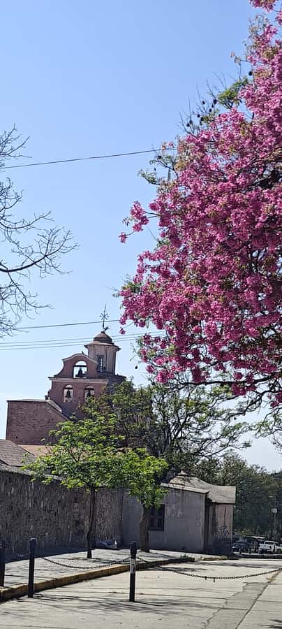 From Cordoba: Alta Gracia HalfDay Tour - Is the $80 price fair?
