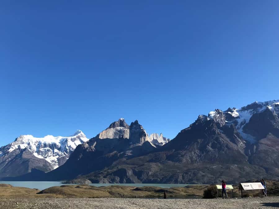 From El Calafate: Torres del Paine Full Day Tour - Cerro Almirante Nieto and the Cuernos del Paine
