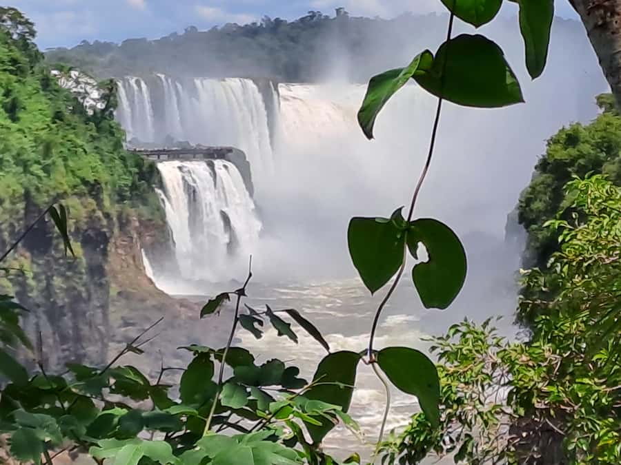 From Foz do Iguaçu: Tour to Argentinian Falls - Languages, Organization, and Guide Style