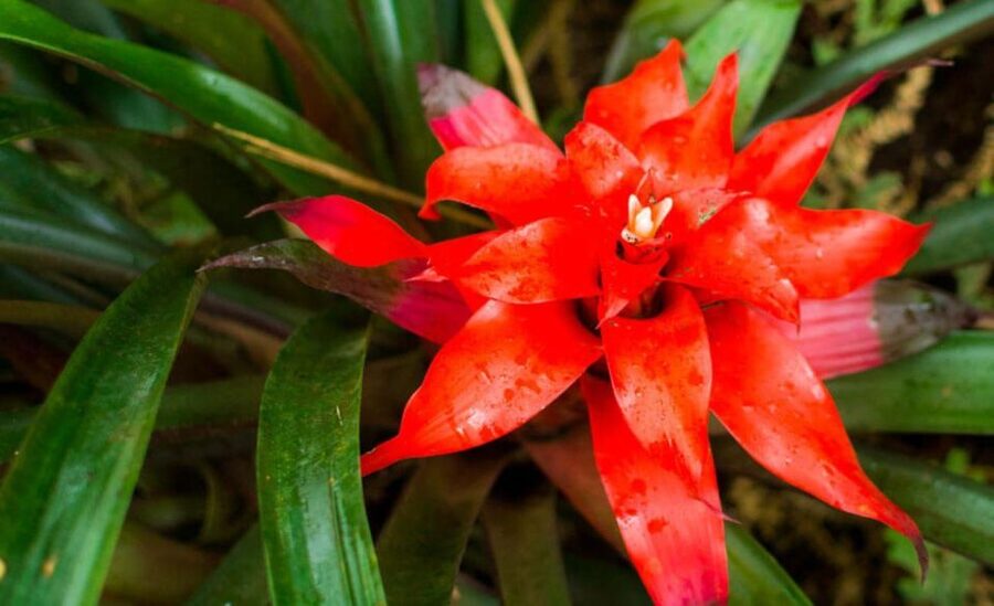 From Iguazú: Explore natural diversity at the Biocenter - Who will enjoy this short nature visit