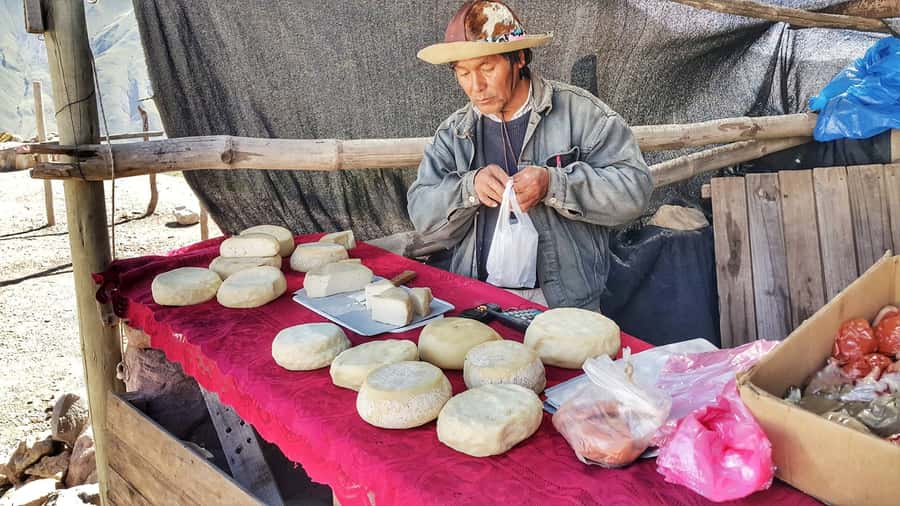 From Jujuy: Day Trip to Quebrada de Humahuaca - Tilcara, Andean character, and the extra archaeological fee