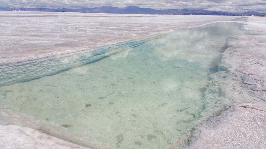 From Jujuy: Salinas Grandes, Purmamarca & Los Colorados Hike - Who will enjoy this day most
