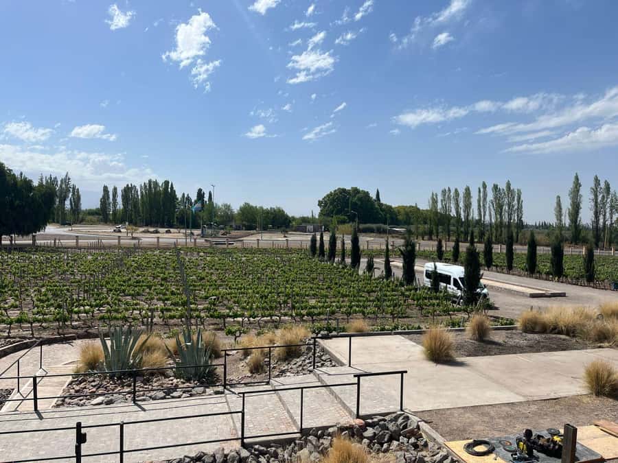 From Mendoza: 3 Wineries, Olive Oil Factory Tour & Tasting - Key points at a glance
