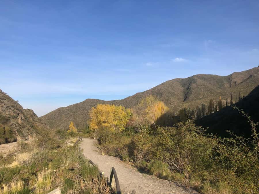 From Mendoza: Andes High Mountain Full-Day Tour - Potrerillos Dam and the first big views